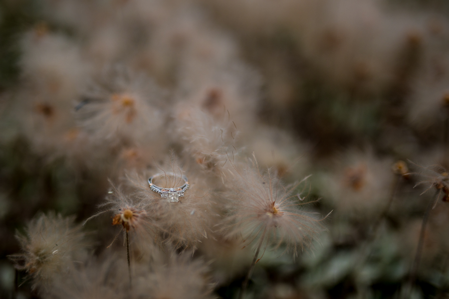 detail shots of engagement rings, wedding rings in canmore, mountain wedding rings