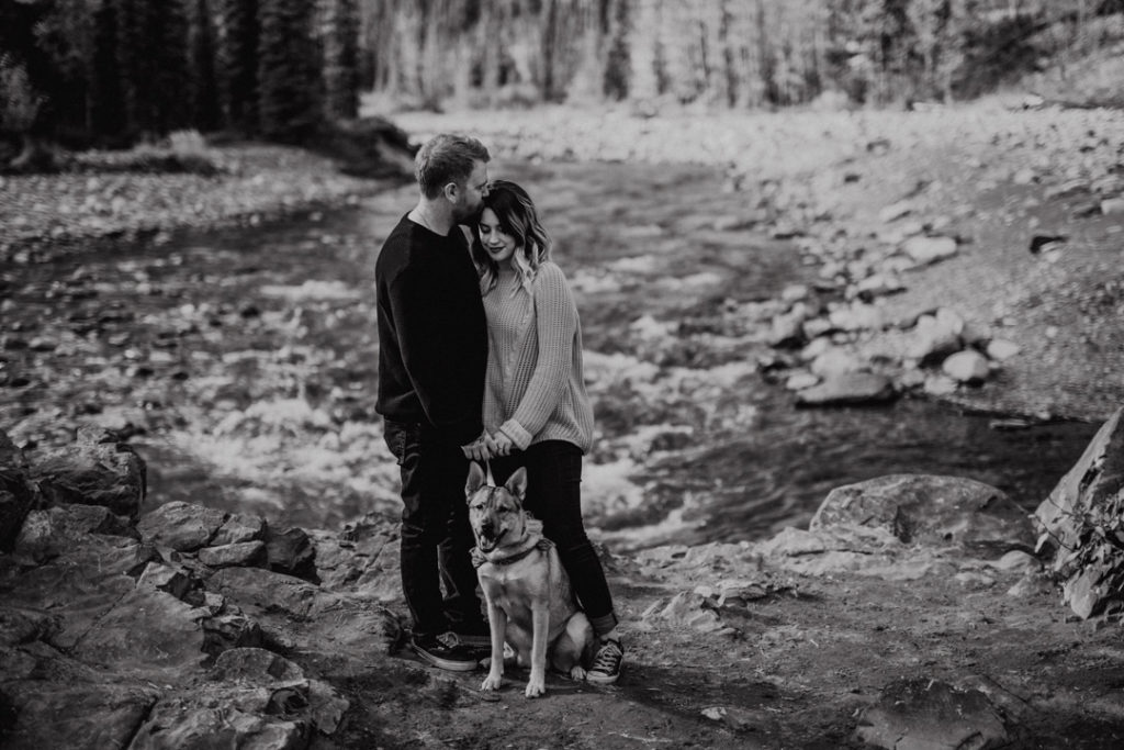 puppy, bragg creek, river, engagement, bragg creek engagement, love in the mountains, rockies engagement