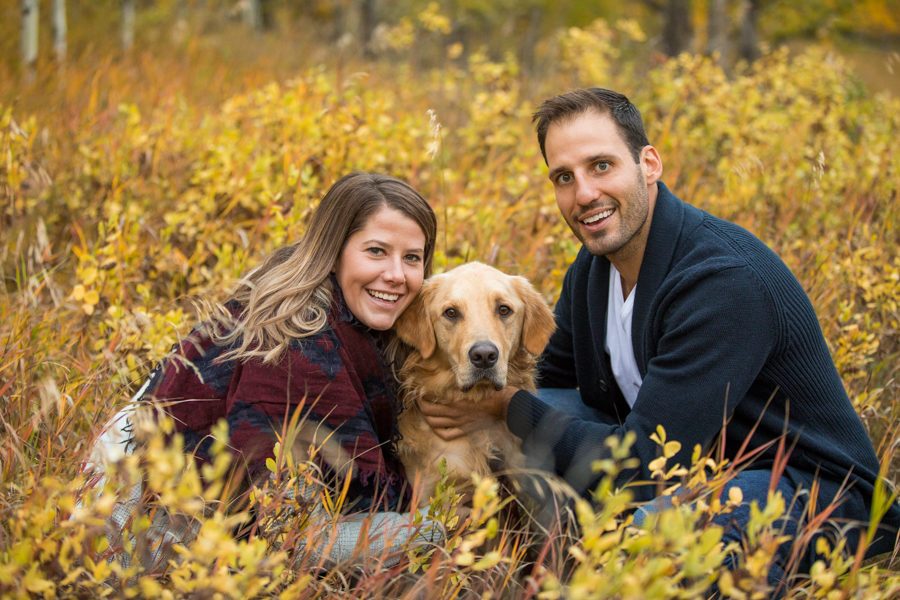 dog in your engagement session