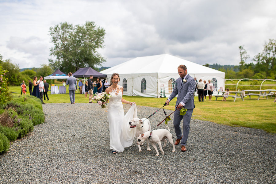 Affinity Guesthouse weddings - vancouver island farm weddings - dogs at weddings