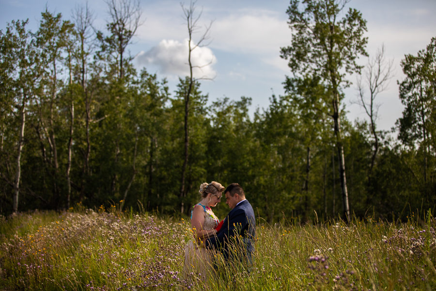 Whitewood Barn - Millet alberta - Whitewood Barn Millet - Carnival Wedding theme