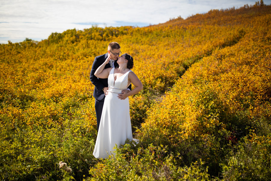 Nose Hill wedding pictures