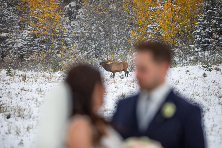 Canmore winter wedding - Canmore Alberta - SIlvertip winter wedding
