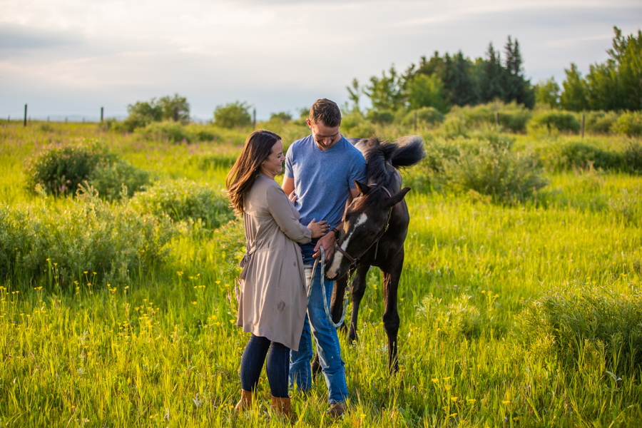 couple having engagement pictures with there horse