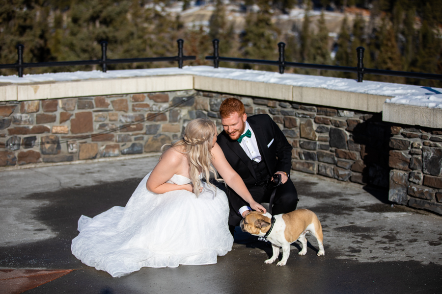 First look Fairmont Banff Springs wedding with puppy