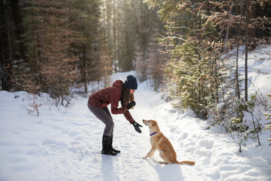 dog family photos