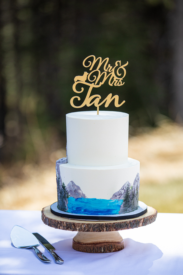 Cake at Silvertip elopements