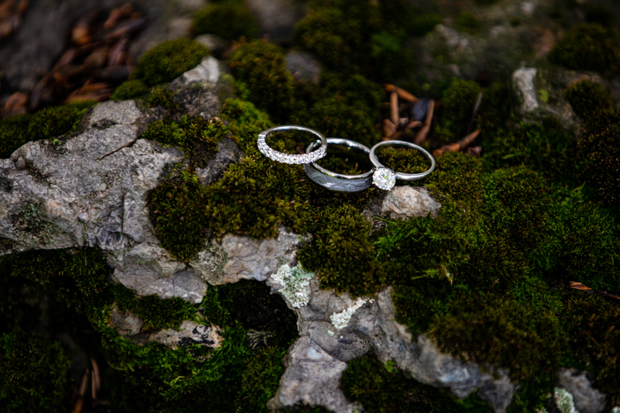 wedding rings sitting in moss