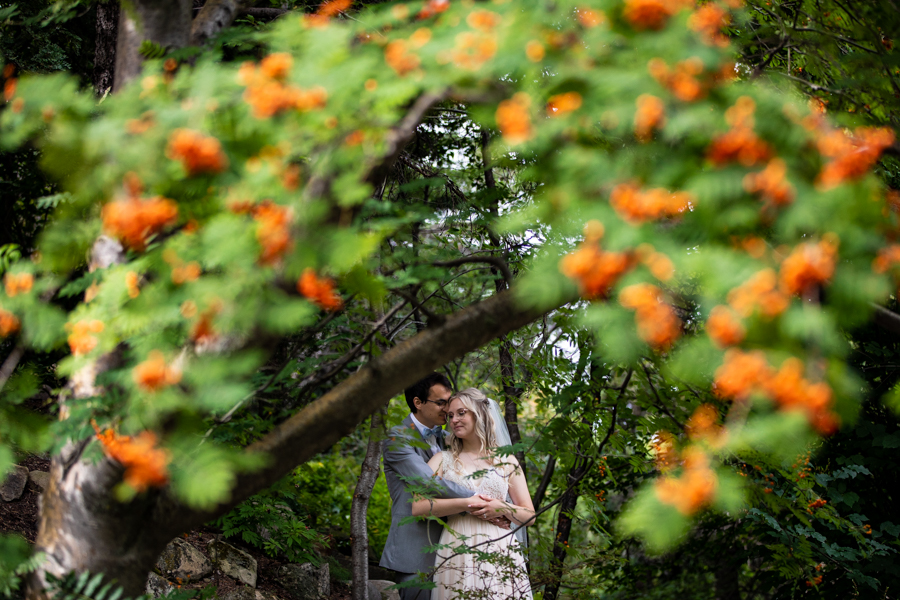 couple standing under a berry tree