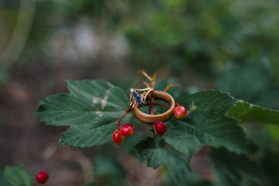 rings on a leaf