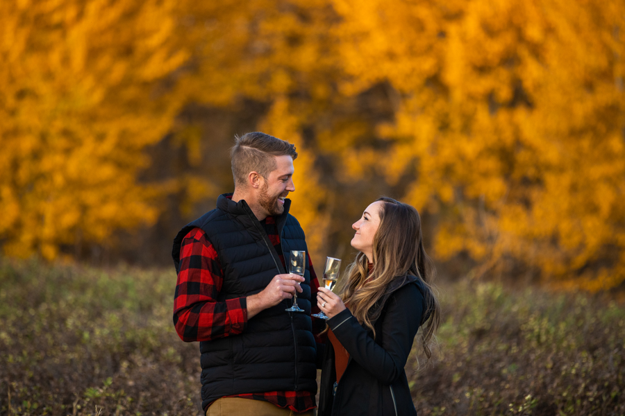 Perfect Proposal Ideas Calgary