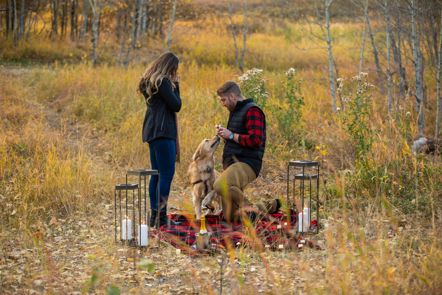 fish creek proposal, Perfect Proposal Ideas Calgary