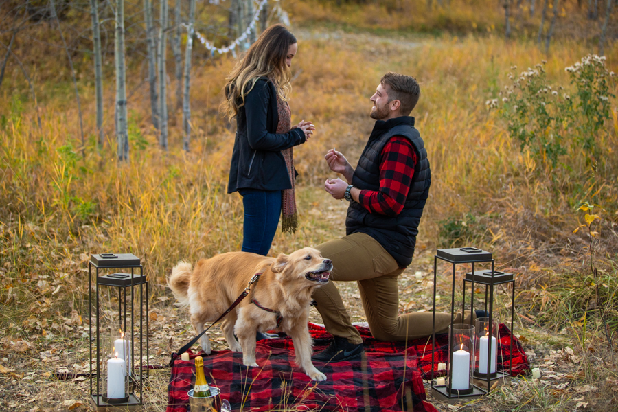 Perfect Proposal Ideas Calgary