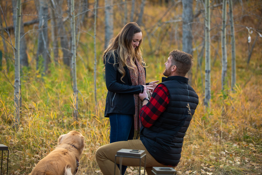 how to propose