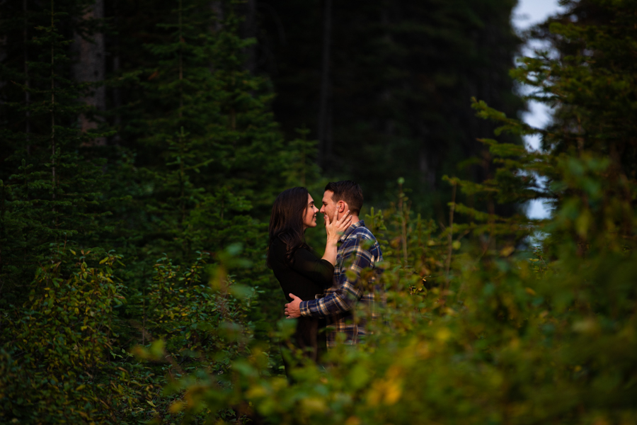 smoky mountain engagement photos