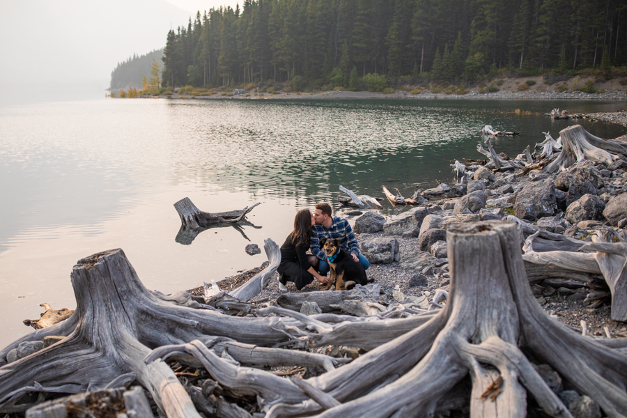 bring your dog to your engagement session