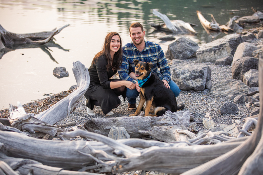 dogs at your engagement session
